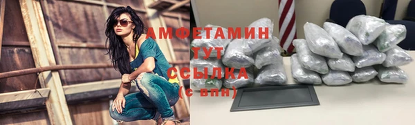 индика Козловка