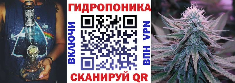 наркота  Эртиль  Марихуана Ganja 